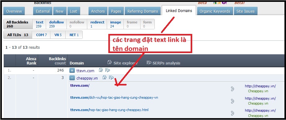 text domain