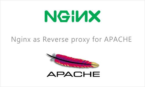 Hướng dẫn reverse-proxy NGINX + Apache trên Directadmin